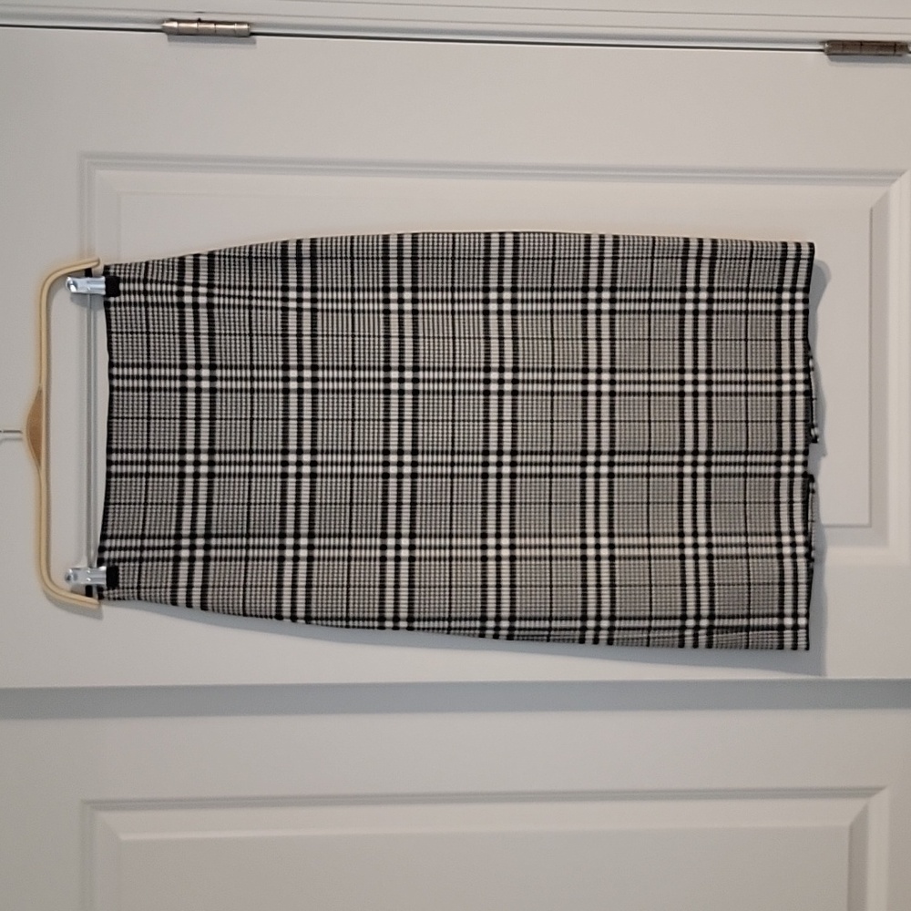 Zara Skirt
